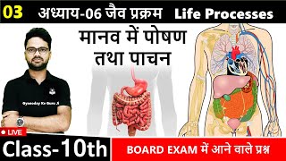 L03 मानव में पोषण तथा पाचन  Nutrition in human and digestion  Chapter 06 जैव प्रक्रम Class10 [upl. by Laws]