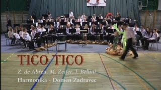 TicoTico HD  Domen Zadravec [upl. by Enovahs]