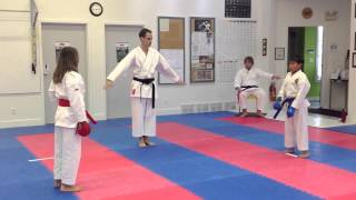 Shotokan Karate Kids Freestyle Kumite  Black Belt vs Brown Belt  IKD Winnipeg at the IDSL 2012 [upl. by Yevreh257]