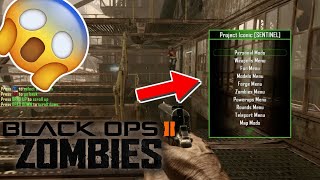 How To Download A Plutonium BO2 Mod Menu [upl. by Aland299]