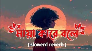 মায়া কারে বলে  maya kare bole tanzil misbah  slowerd reverb lofi  priyo lofi song [upl. by Pippy]