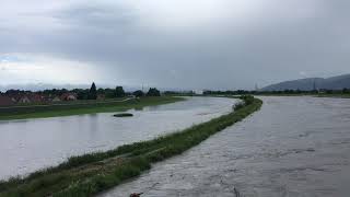 Aktuelle Bilder vom Rheinhochwasser in Lustenau [upl. by Ennair157]