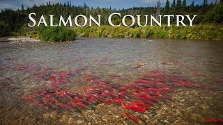 Alaska Salmon Country  Sockeye City [upl. by Hinze314]