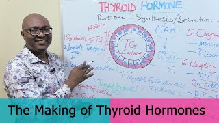 Thyroid Hormones –1 Synthesis and Secretion [upl. by Ellenwad7]