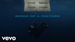 Billie Eilish  BIRDS OF A FEATHER Official Lyric Video [upl. by Hoebart]