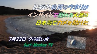 比較的良質なウネリがインサイドで割れる大暑の日本海でカメを助けた 240722 夕方 サーフモンキーTV [upl. by Schumer818]