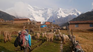 Peru Cordillera Vilcanota Ausangate Trek mit quotKorridorquot Individual Trekking Solo Hike [upl. by Alleram934]