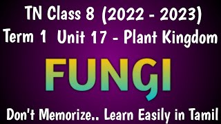 Fungi Classification Economic Importance Class 8 Science Term 1 Unit 17 Plant Kingdom [upl. by Jessey]