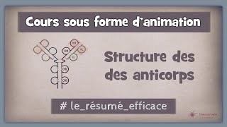 51◽ Structure des anticorps [upl. by Atteselrahc]