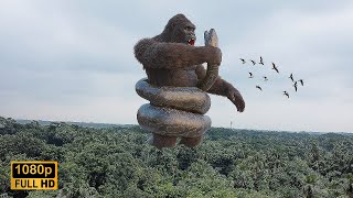 King Kong vs Big Snake Epic Fight [upl. by Igig121]