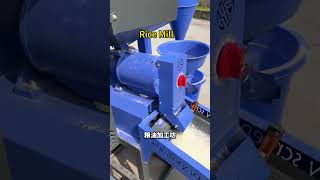 Multifunctional rice milling machineCommercial Rice Mill Rice MillRice husking machine [upl. by Wiersma]