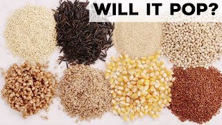 Will It Pop Grains Seeds and Cereals Are Put to the Test  Food Network [upl. by Drofiar]