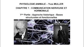 Chapitre 11 Bases de la communication nerveuse et hormonale [upl. by Bortz]