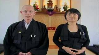 How to Meditate  Beginners Introduction to Zazen [upl. by Harneen296]