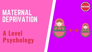 A Level Psychology  Maternal Deprivation [upl. by Leunamne]