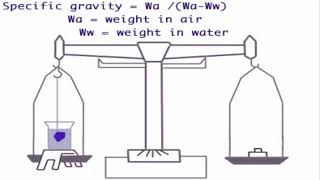 How to Identify an Uncut Rough Diamond  Specific gravity [upl. by Tegdig]