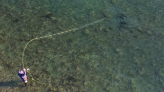 Fly Fishing New Zealands Giant Trout River Day 1 [upl. by Lerraj936]