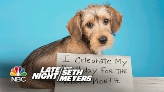 Extreme DogShaming Birthday Month Roomba Defiler [upl. by Eaner75]