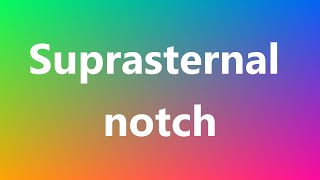 Suprasternal notch  Medical Meaning and Pronunciation [upl. by Iglesias148]