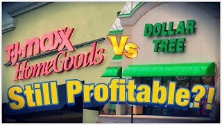 Can TJ Maxx And Dollar Tree Still Be Profitable In 2024 As They Were In 2020 [upl. by Ashjian]