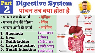 Digestive System In Hindi  पाचन तंत्र  Stomach  Liver  Small Intestine  Large Intestine  HCL [upl. by Malonis]