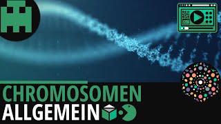 Chromosomen Allgemein│Biologie Lernvideo Learning Level Up [upl. by Toms734]