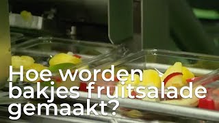 Hoe maken ze bakjes fruitsalade  Doen Ze Dat Zo [upl. by Christiano215]