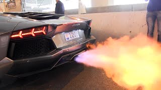 The BEST LAMBORGHINI AVENTADOR Engine SOUNDS Ever [upl. by Ordnajela]