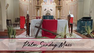 Palm Sunday Afternoon Mass Live  St Patricks March 24th 2024 5pm EST [upl. by Ettenowtna]