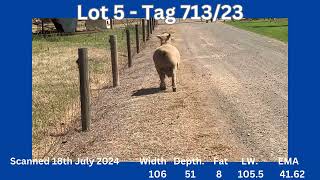 Ballarat 2024 Sale  Lot 5 Tag 71323 [upl. by Aicenat707]