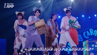 Hey Say JUMP  ペットショップラブモーション Official Live Video 知念 中島 髙木 伊野尾 [upl. by Marcile]