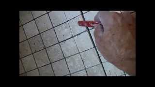 How To Tile Shower Floor  part one of two [upl. by Diad]