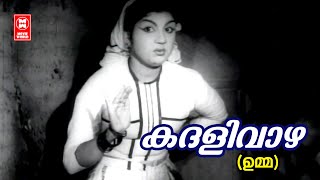 Kadhalivazha Kayyilirunnu  Umma  P Bhaskaran  MS Baburaj  Jikki  Evergreen Old Hits [upl. by Zurek]