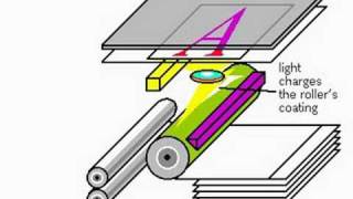 Xerography or electrophotography [upl. by Dollar]