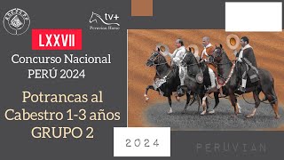 Potrancas al Cabestro 13 anos Grupo 2 LXXVII CONCURSO NACIONAL PERU 2024 [upl. by Ahseinet]