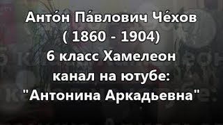 Хамелеон 6 класс Антон Павлович Чехов [upl. by Alleuqcaj]