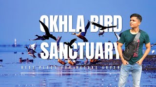 Okhla bird sanctuary  Best place to visit in Delhi  Let’s backpack together [upl. by Nnazil264]