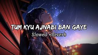 Tum Kyu Ajnabi Ban Gaye ¦ Slowed and Reverb Songs ¦ New Songs 2024 ¦ New Lofi Songs 2024 music [upl. by Irina189]