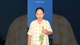 Part2 Ninni Aur Banana itni raat ko Tree Society me kya kar rahe hai 😱 [upl. by Dodie]