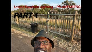 Cameraman of elephant encounter perspective  Pilanesberg latest sighting Eldine Arendse [upl. by Verner]