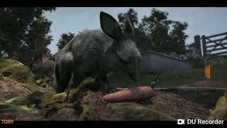 10000 Enemies Watership Down 2018 full clip [upl. by Macdonell]