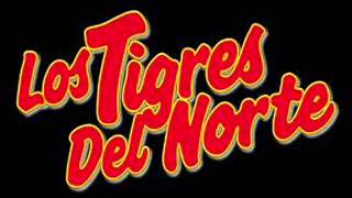 Los tigres del Norte eres mi Buena Suerte [upl. by Glorianna]