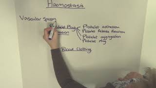 Haemostasis  An Overview [upl. by Nylad353]