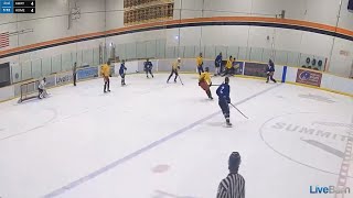 Quick release shot goal [upl. by Aix372]