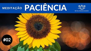 Paciência  MEDITAÇÃO 02 [upl. by Lamee]