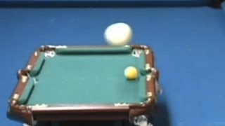 Amazing Pool Trick Shot [upl. by Julietta]