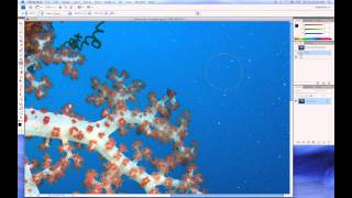 Backscatter Removal Tutorial [upl. by Cecile]