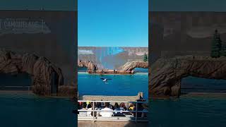 Sneaky Orca at SeaWorld California killerwhales animals [upl. by Niowtna812]