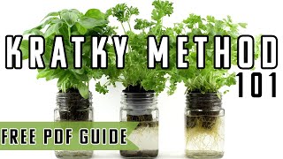 Kratky Method Hydroponics Explained [upl. by Yro]