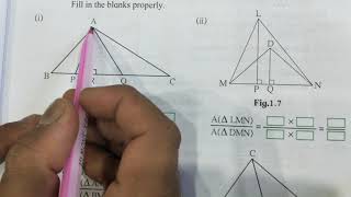 Mathematics 2 geometry similarity page 2 amp 3 activity in Hindi [upl. by Eiahpets177]